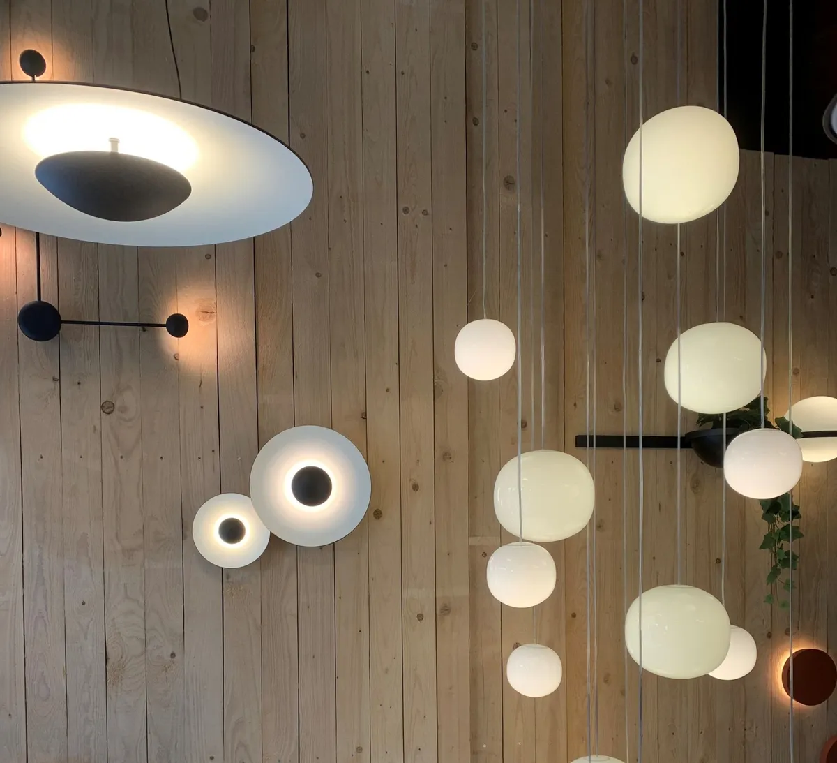 Mur d'appliques et de plafonniers ronds exposés dans le showroom Domelec