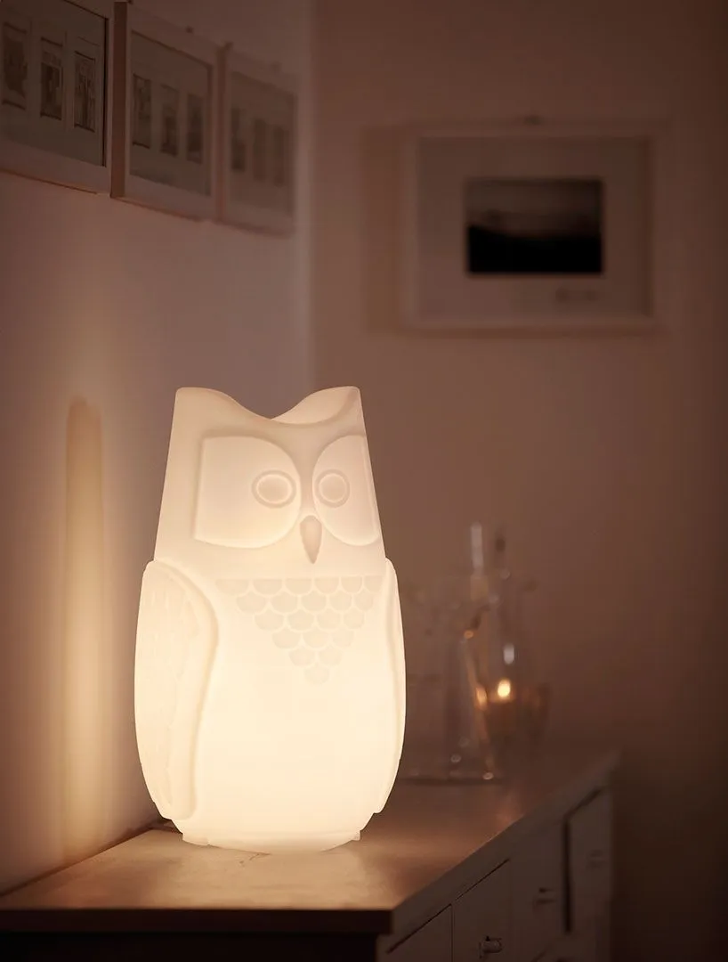 Ambiance Lampes à poser au showroom Domelec de Libramont — vue 25